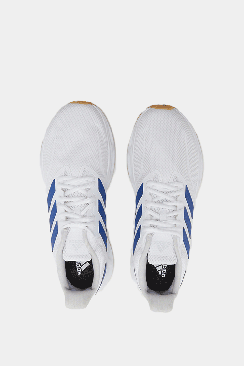 Adidas - Showtheway 2.0